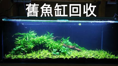 不要的魚缸怎麼辦|舊魚缸處理5大妙招